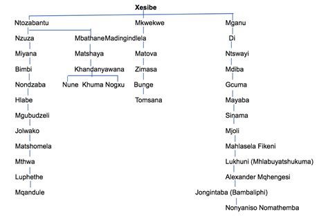 mngxongo family tree|Iziduko zama Ngxongo Clan Names – iAfrika – isiXhosa.